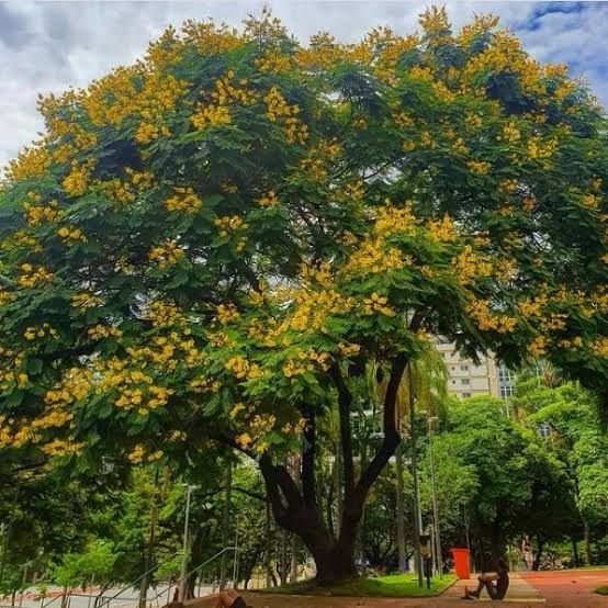 6471b97e-4387-4d42-8357-8624a50f72ee